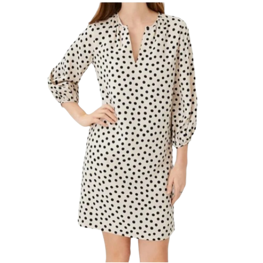Ann Taylor Black and White Polka Dot Dress